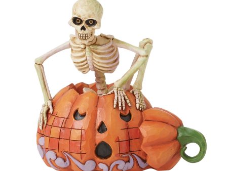 Skeleton Pop Out Pumpkin Fig Online now