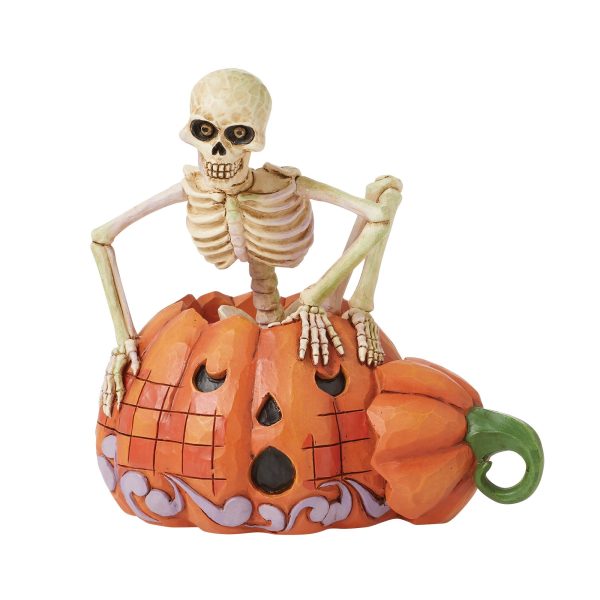 Skeleton Pop Out Pumpkin Fig Online now