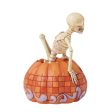 Skeleton Pop Out Pumpkin Fig Online now