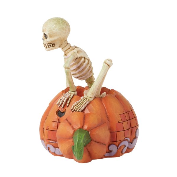 Skeleton Pop Out Pumpkin Fig Online now