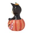 Figaro in Jack-O-Lantern Mini on Sale