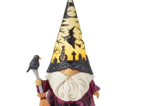 Wizard with LED Scene Hat Fig For Discount