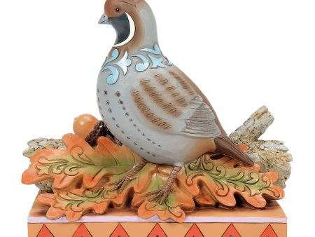 Quail Sitting on Leaves Fig Hot on Sale