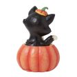 Figaro in Jack-O-Lantern Mini on Sale