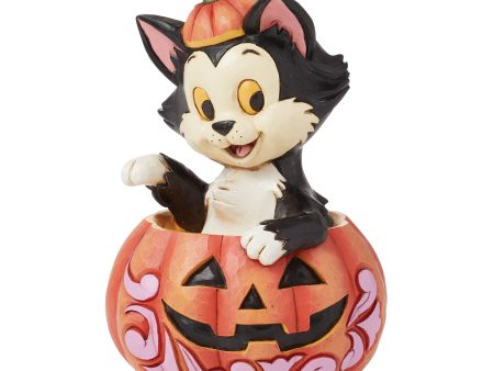 Figaro in Jack-O-Lantern Mini on Sale